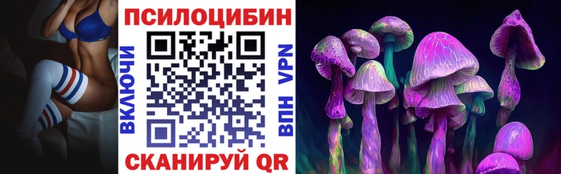 Галлюциногенные грибы Psilocybine cubensis  наркошоп  Чёрмоз 